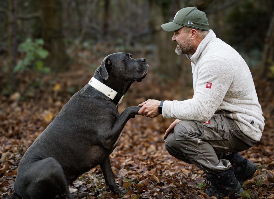Mike im Einzeltraining mit einem schwarzen Hund im Wald
